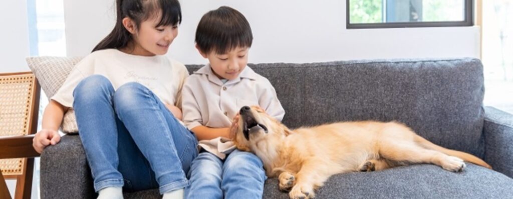 ペットと子供の写真